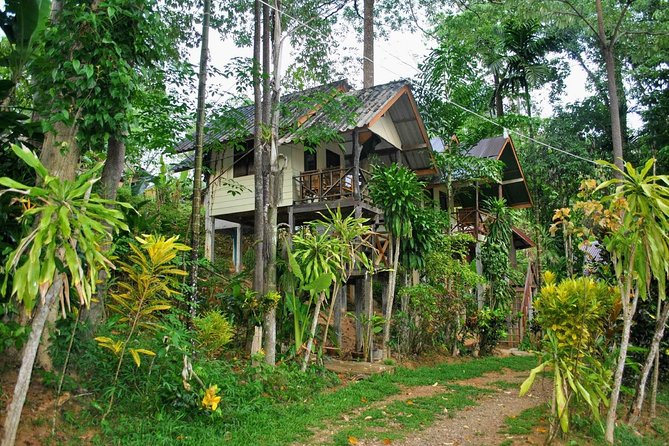 1 Day Khao Sok Jungle Safari and 2 Days Cheow Lan Lake Explorer from Krabi - Food, rooms, and the real comfort level