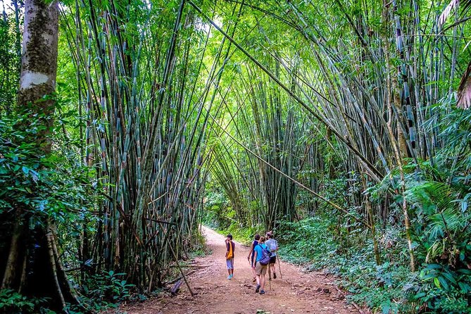 1 Day Khao Sok Jungle Safari and 2 Days Cheow Lan Lake Explorer from Krabi - Who will enjoy this trip most