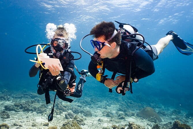 2 Days PADI Advanced Course from Phi Phi - Key points to know before booking