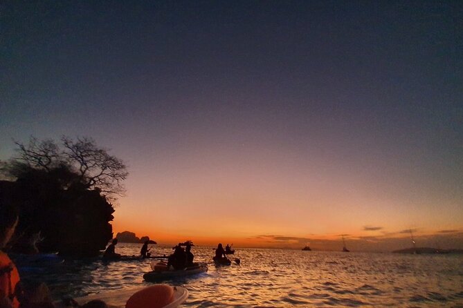 2-Hour Clear Kayak Illuminated Night Tour in Krabi - The chance to see bioluminescent plankton