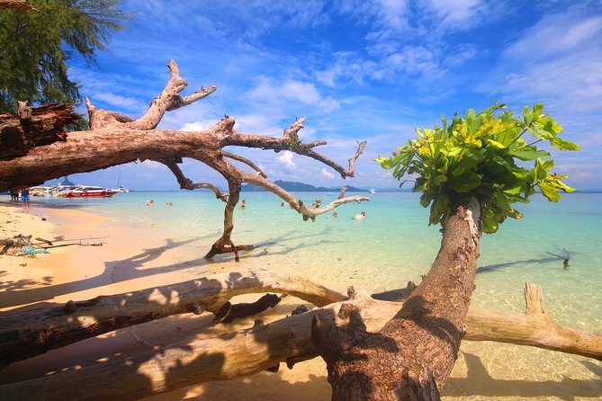 4-Island Wonders: Emerald Cave&Koh Kradan Day Tour by Opal Travel - Starting at Saladan Pier around 8 a.m.