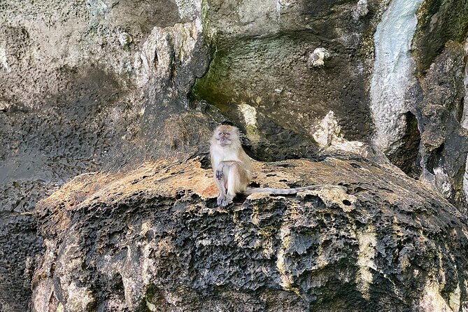 6 Hours Private Tour Around Phi Phi Islands From Phi Phi - Maya Bay and the Setting of The Beach