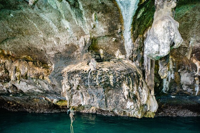 6 Hours Private Tour Around Phi Phi Islands From Phi Phi - Loh Lana Bay on Phi Phi Don