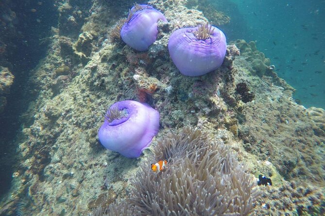 7 Islands Sunset Tour with Buffet Dinner & Night Snorkeling - Tup Island depends on the tide