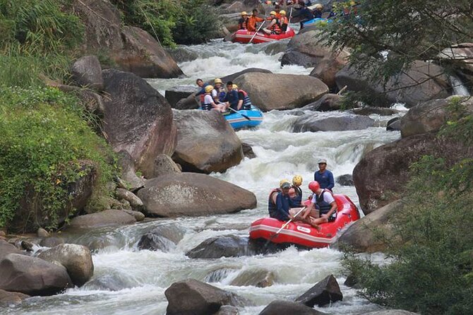 7km White Water Rafting Adventure Tour From Krabi - The timing issue you should plan around