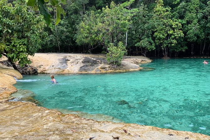 All day Krabi Jungle Tour (Hot Spring Water, Emerald Pool, Tiger Cave Temple) - Guides, group size, and the pace of the day