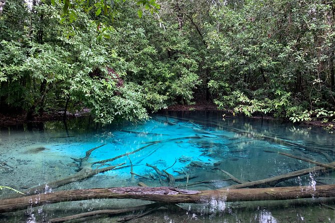 All day Krabi Jungle Tour (Hot Spring Water, Emerald Pool, Tiger Cave Temple) - Who gets the best value from the $71.74 price