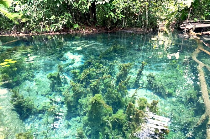 Ao Nang Kayaking at Klong Rud with Hotel Transfer - Why this short Krabi kayak trip works