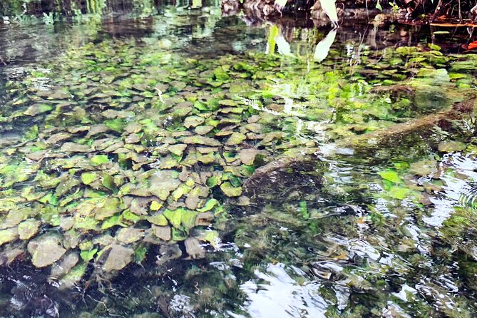 Ao Nang Kayaking at Klong Rud with Hotel Transfer - Who should book this kayaking outing