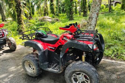 ATV Jungle Adventure in Krabi with Roundtrip Transfer