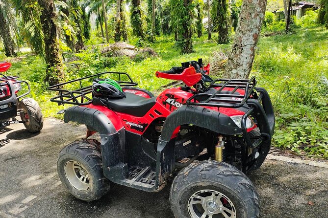 ATV Jungle Adventure in Krabi with Roundtrip Transfer - How difficult are the trails?