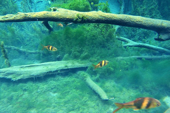 ATV & Kayaking in Hidden Freshwater Lagoon, Unseen Krabi Half Day Trip - How the five-hour schedule works