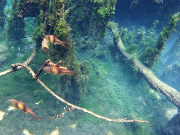 ATV & Kayaking in Hidden Freshwater Lagoon, Unseen Krabi Half Day Trip - What is included for the $55 price