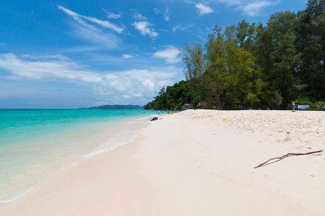 Bamboo Island, Maya Beach and Phi Phi Islands One Day Tour from Krabi - Maya Bay is famous, but not the quietest stop
