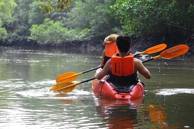 Deep Mangrove and Canyon Kayak Tour in Krabi - Entering the deep mangrove channels