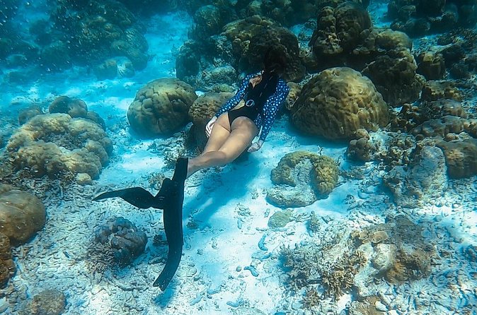 Discover Freediving in Koh Lanta, Thailand - Who should book this Koh Lanta course