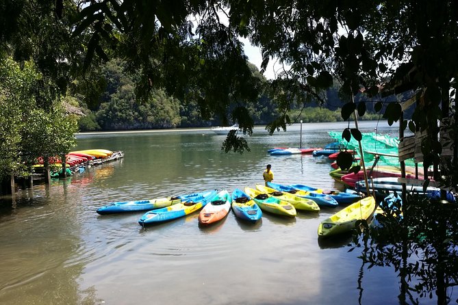 Early bird kayak adventure at AO Thalane - Who will enjoy this morning most