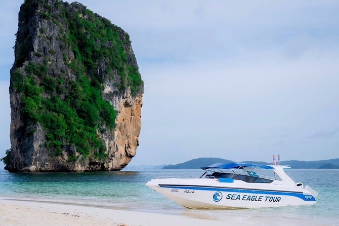 Early Bird Phi Phi 4 Islands by Speedboat 2 Trips in 1 Day - Chicken Island and the Thale Waek sandbar