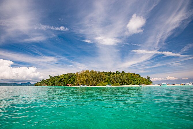 Early Bird Phi Phi Islands Tour From Phi Phi by Speedboat - Shark Point and the best snorkeling chance