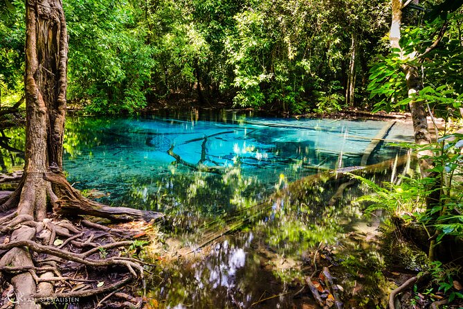ECO Premium Jungle Hot Springs and Temple Tour - What the $57 price really covers