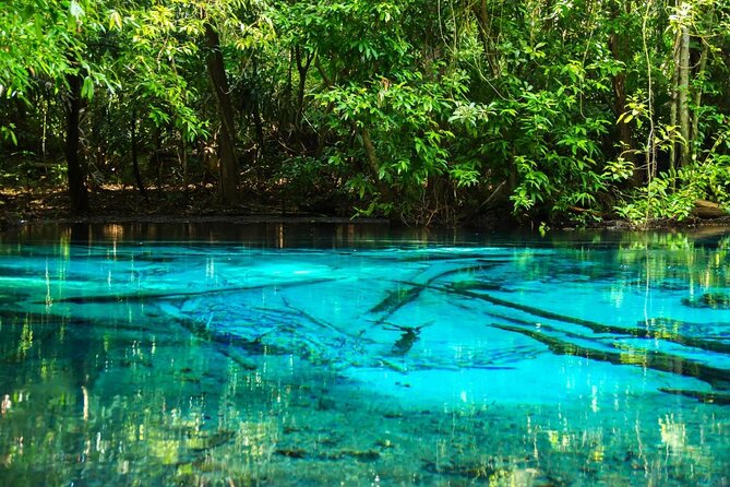 Emerald Pool: Jungle Tour, Private Full Day with Lunch - Key points to know before booking