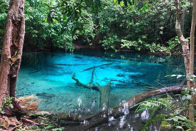 Emerald Pool: Jungle Tour, Private Full Day with Lunch - Why this Krabi day trip works