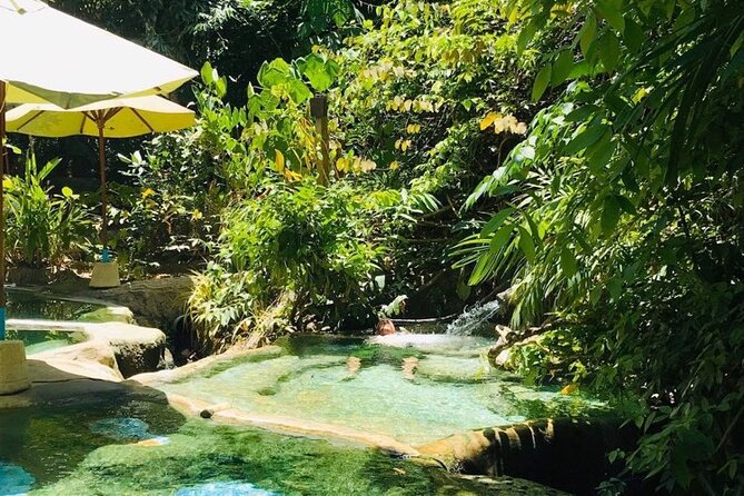 Emerald Pool: Jungle Tour, Private Full Day with Lunch - Private transport, guides, and lunch