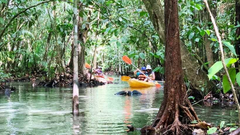 From Ao Nang: Kayaking at Klong Rud with Hotel Transfers - Fruit, water, and the slower finish