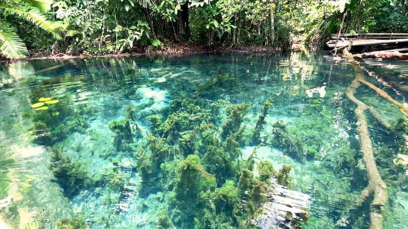 From Ao Nang: Kayaking at Klong Rud with Hotel Transfers - What the $28 price really buys you