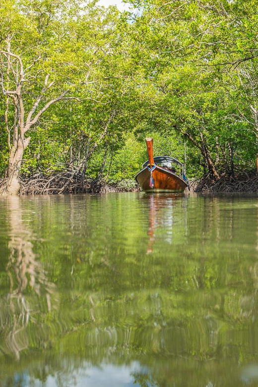 From Ko Lanta: Mangrove Eco-Excursion by Longtail Boat - Monkey Point and the wildlife search