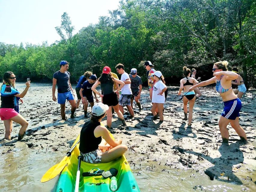 From Ko Lanta: Mangrove Eco-Excursion by Longtail Boat - Lunch beside the mangrove water