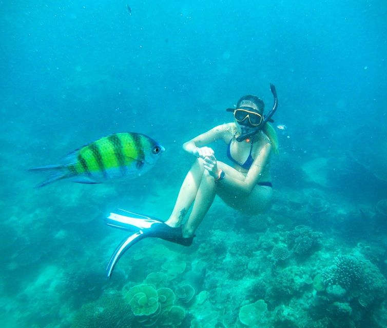 From Koh Lanta: Koh Haa & Koh Rok Snorkel Tour by Speedboat - A Final Snorkel at Koh Rok Yai