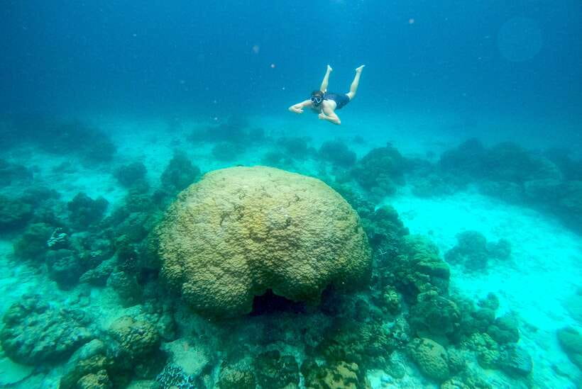 From Koh Lanta: Koh Haa & Koh Rok Snorkel Tour by Speedboat - Guides, Crew and Group Atmosphere