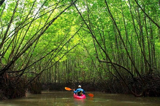 From Krabi: Great Cheow Lan Lake Day Trip with Lunch at PhuTawan - Group size and the guide experience