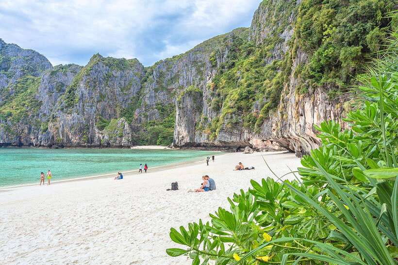 From Krabi: Maya Bay, Bamboo & Phi Phi Islands Day Tour - Monkey Beach and the limits of wildlife stops