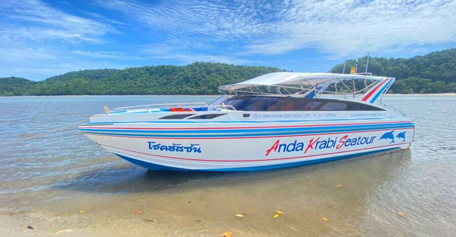From Krabi: Phi Phi Island Full-Day Private Speed Boat Tour - Why a private Phi Phi speedboat changes the day