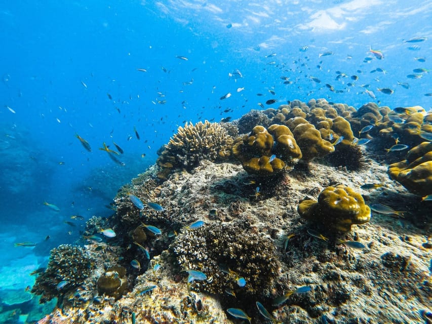 From Krabi: Phi Phi Islands Speedboat Day Tour - What the $51 price really includes