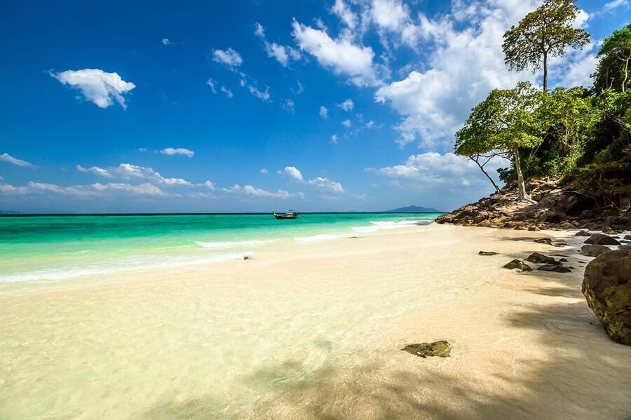 From Krabi: Phi Phi Islands Speedboat Day Tour - Loh Samah Bay and Maya Bay