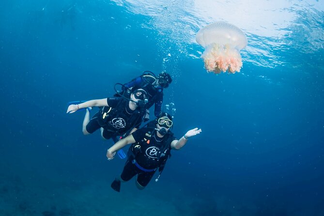 From Phi Phi Don | Half Day Discover Scuba Diving 2 Dives - What a half-day underwater trip from Phi Phi feels like