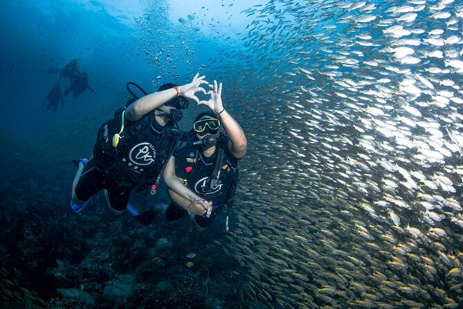 From Phi Phi Don | Half Day Discover Scuba Diving 2 Dives - PADI instruction for beginners and returning divers