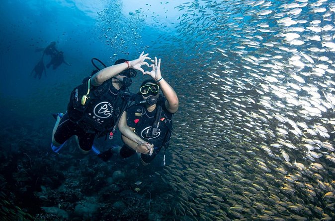 From Phi Phi Don | Half Day Discover Scuba Diving 2 Dives - The underwater DSLR option