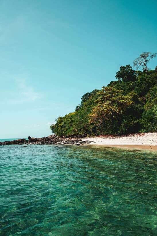 From Phi Phi: Full Day 7 Island Tour by Longtail with Sunset - Shark Point brings the most exciting snorkeling