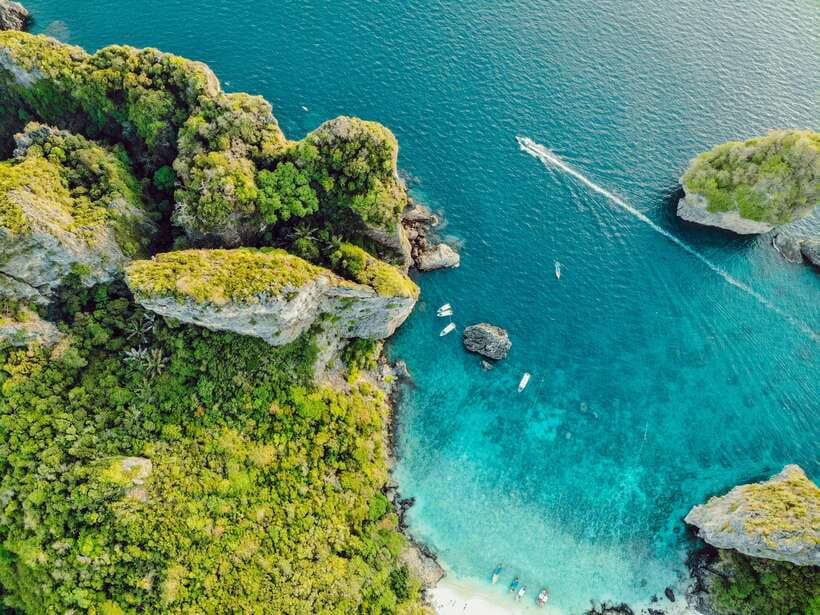 From Phi Phi: Full Day 7 Island Tour by Longtail with Sunset - Monkey Beach, where the day starts with curious wildlife