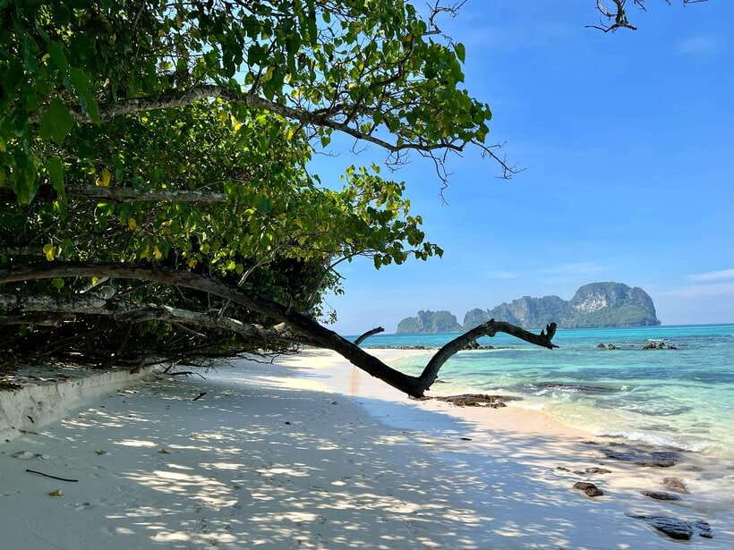 From Phi Phi: Full Day by Longtail Boat with Sunset - Sunset and glowing plankton after dark