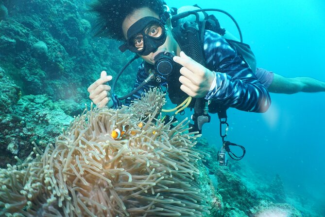 From Phi Phi: Half Day Discover Scuba (2 Dives) - Health, weather, and the fine print that matters