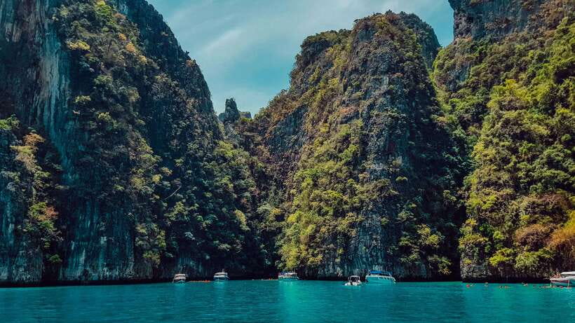 From Phi Phi: Half-Day Longtail Boat Tour to Maya Bay - Monkey Beach: a quick wildlife stop
