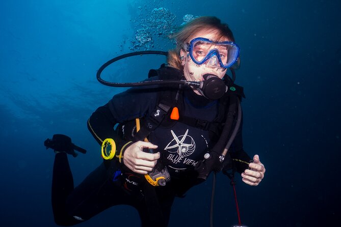From Phi Phi: Half Day Trip for Certified Divers (2 Dives) - Stop 2: Ko Bida Nok and nearby reefs