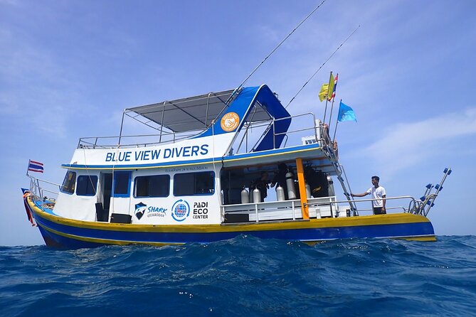 From Phi Phi: Half Day Trip for Certified Divers (2 Dives) - Why the small group matters underwater