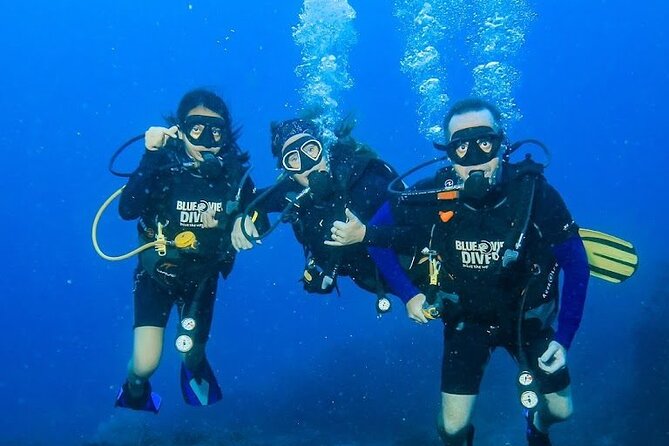 From Phi Phi: PADI Open Water Course <em>eLearning (2+ days) – Key points to know before booking’ /></p>
<ul>
<li><strong>Four sea sessions around Phi Phi’s Marine Park:</strong> Training takes place near Ko Phi Phi Leh and the Bida Islands, with coral, turtles, and sharks possible.</li>
<li><strong>Online study before arrival:</strong> Complete the official PADI eLearning course and videos on your own schedule before practical training begins.</li>
<li><strong>Small groups of up to 10:</strong> Fewer students can mean more instructor attention and less time waiting for equipment or skills practice.</li>
<li><strong>Two boat outings with lunch:</strong> Each outing lasts about five hours and includes two underwater sessions, lunch, and fresh pineapple.</li>
<li><strong>Pool and beach-based skill training:</strong> You first learn essential skills in confined water before moving to open water.</li>
<li><strong>Budget for the National Park charge:</strong> The 800 THB fee is not included in the advertised price.</li>
</ul>
<h2 id="what-the-two-to-three-days-really-involve">What the two to three days really involve</h2>
<p>eLearning (2+ days) – What the two to three days really involve’ /></p>
<p><p>This is not a quick introductory swim with an oxygen tank. It is a full PADI Open Water course, so you finish with a certification if you complete the online study, theory, swim tests, confined-water skills, and four open-water training sessions.</p>
</p>
<p><p>Before you arrive, Blue View Divers sends the official PADI eLearning course and videos. Allow 8 to 12 hours for this work. You can study in smaller blocks, which is useful if you are touring Thailand, but do not leave it until the last minute. The practical lessons make much more sense when the basic terms and safety rules are already familiar.</p>
</p>
<p><p>You normally check in one day before the course begins. The center sits at Viewpoint Resort, about five minutes outside the main town, with views over Loh Dalum Bay. If your arrival schedule allows, the team can discuss starting on the same day, but you should contact them first rather than assume an immediate start.</p>
</p>
<p><p>Your first practical session takes place off the beach in confined water. Here you learn how the equipment works, practice key underwater skills, complete swim tests, and work through theory with your instructor. This is the part that helps you find out how comfortable you are before heading farther from shore.</p>
</p>
<p><p>I like this structure because it gives you a proper chance to settle your breathing and movements. New scuba students often need time to get used to clearing a mask, managing buoyancy, and communicating without speaking. The pool and beach work are not simply formalities. They are where you build the habits that make the later sea sessions safer and less stressful.</p>
</p>
<div class="twil" style="margin: 20px 0; padding: 15px 0;"><p>More ways to reach the Phi Phi Islands:</p><ul style="margin: 10px 0; padding-left: 0; list-style: none;"><li style="margin: 0 0 12px 0; padding: 0 0 12px 0; border-bottom: 1px solid #FFF4E0; line-height: 1.4;"><a href="https://experiencekrabi.com/from-phi-phi-sunrise-beat-the-crowds-to-maya-bay-by-speedboat/">From Phi Phi: Sunrise & Beat The Crowds to Maya Bay by Speedboat</a><br><span style="font-size: 0.82em; color: #555;"><span style="color: #FFB020;">★</span> 5.0 &nbsp;&middot;&nbsp; 124 reviews</span></li><li style="margin: 0 0 12px 0; padding: 0 0 12px 0; border-bottom: 1px solid #FFF4E0; line-height: 1.4;"><a href="https://experiencekrabi.com/highlights-of-phi-phi-islands/">Highlights of Phi Phi Islands</a><br><span style="font-size: 0.82em; color: #555;"><span style="color: #FFB020;">★</span> 4.5 &nbsp;&middot;&nbsp; 86 reviews</span></li><li style="margin: 0; padding: 0; border-bottom: none; line-height: 1.4;"><a href="https://experiencekrabi.com/from-phi-phi-half-day-discover-scuba-2-dives/">From Phi Phi: Half Day Discover Scuba (2 Dives)</a><br><span style="font-size: 0.82em; color: #555;"><span style="color: #FFB020;">★</span> 5.0 &nbsp;&middot;&nbsp; 77 reviews</span></li></ul></div><h2 id="why-a-three-day-schedule-makes-sense">Why a three-day schedule makes sense</h2>
<p><img width="669" height="446" decoding="async" src=