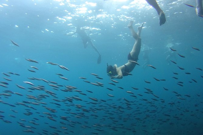 From Phi Phi: Sunrise & Beat The Crowds to Maya Bay by Speedboat - Monkey Beach, with a little caution